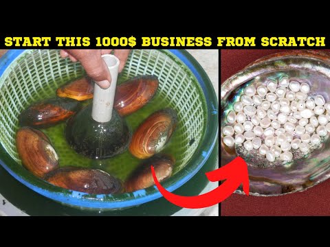 , title : 'How to Start A Pearl Farming Business From Scratch - Quick Guide'
