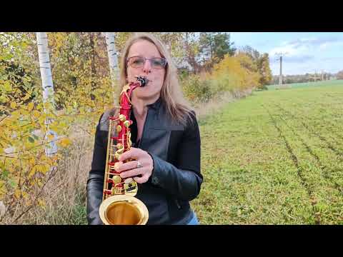Crying in the chapel (Elvis Presley) Cesta rájem (Karel Gott) alto sax cover by Mireliz Sax