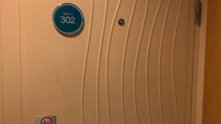 Allure of the Seas Balcony Cabin 7302