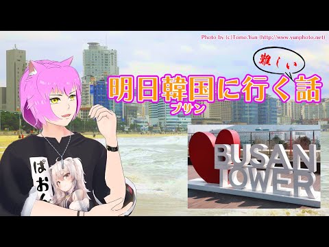 Estou indo para Busan, Coreia do Sul amanhã [91]