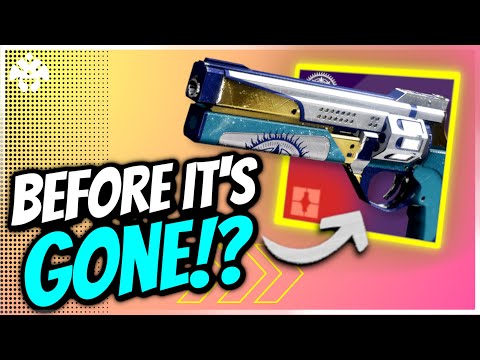 Something New is a Build Crafters Dream! - Destiny 2