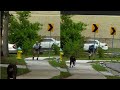Amazon Vs Ups Delivery Guys Getting Chased By Dogs