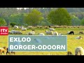 Exloo | Donders Mooi Drenthe