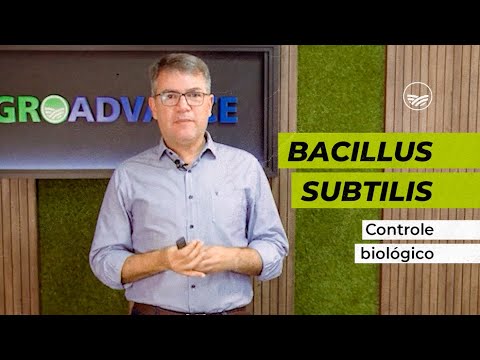 Bacillus subtilis no Controle Biológico de Pragas e Doenças