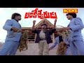 MEGA STAR SHOWING HIS POWER TO VILLANS LANKESHWARUDU CHIRANJEEVI RADHA REVATHI V9 VIDEOS