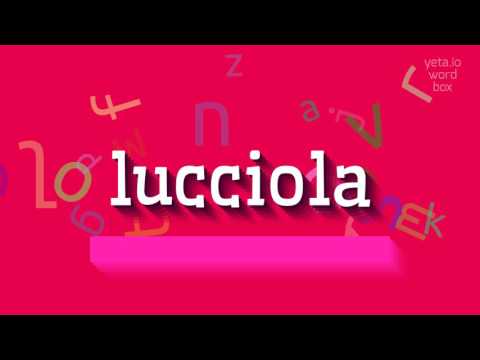 LUCCIOLA - HOW TO PRONOUNCE IT? #lucciola
