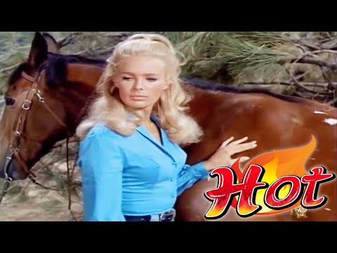 The Big Valley Full Episodes 🎁 Season 2 Episode 15 🎁 Classic Western TV Series
