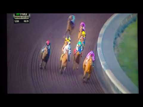 BAYAKOA (G 2)STAKES $200,000 2017 - MAJESTIC HEAT !!!