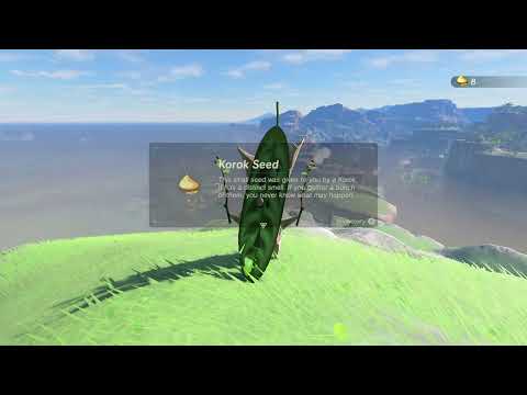BotW - A Gift of Nightshade & Memory #10 Sanidin Park Ruins