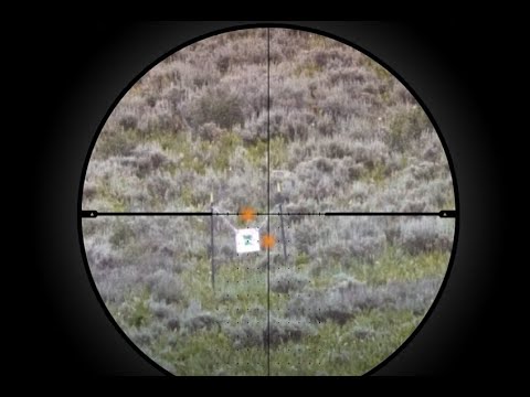 SIERRA6BDX Riflescope