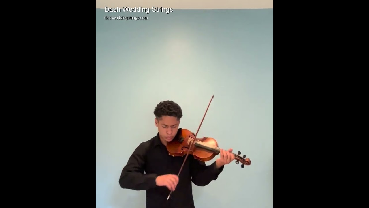Promotional video thumbnail 1 for Dash Wedding Strings