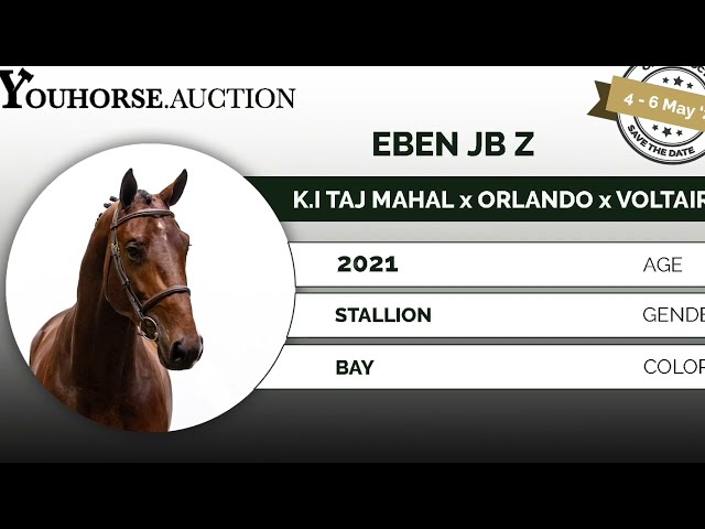 Eben first jumps canter