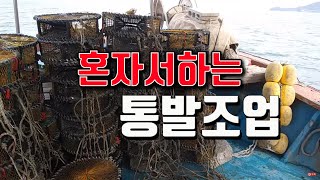 통발에 낙지가 없을 때 미끼넣는 방법은? - 리얼귀어일지 EP12
