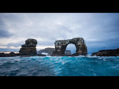 Galápagos Liveaboard: The Most INSANE Dive at Darwin's Arch!