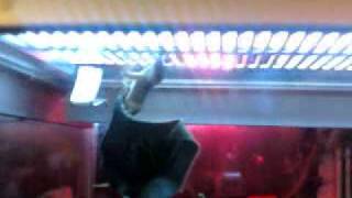 Anal lizards sex haha