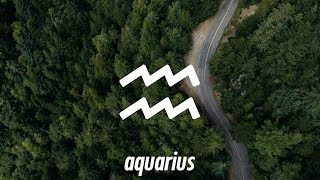 Rival x Cadmium ft. Harley Bird - Seasons (Lyrics) Futuristik &amp; Whogaux Remix