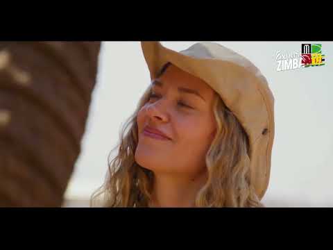 Zimbabwe Women vs South Africa Women | 1st WT20I
