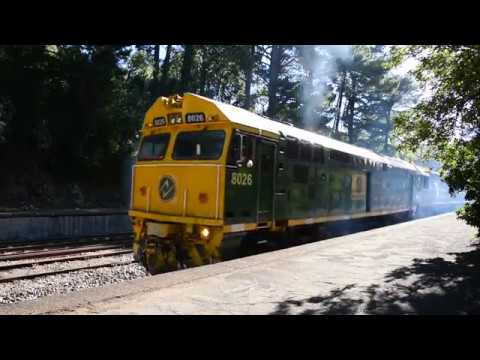 SCT freight train 6MP9 with 8026 SCT005 SCT013 SCT002