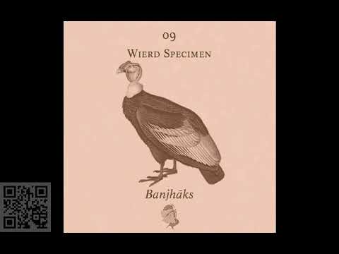 Dark forest wierd Wierd Specimen 09 Banjha ks