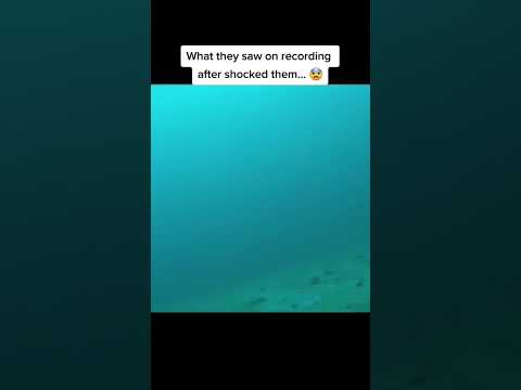 Real Proof That Mermaids Actually Exist… 🧜‍♀️😳 #shorts