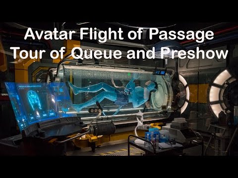 Avatar Flight of Passage Queue and Preshow - Disney's Animal Kingdom (4K)