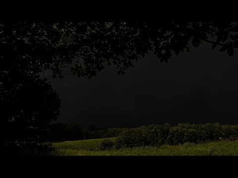Grassland Thunderstorm | Under the Tree | Calm Before the Storm | 3 HOURS