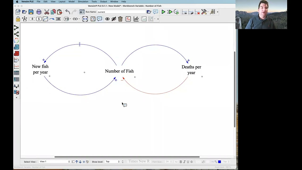 SOS 212: Drawing Causal Loop Diagrams (CLDs) in Vensim PLE's "New Sketch (Beta)" Tool