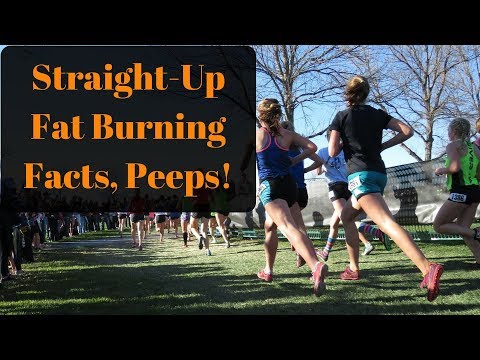 Elizabeth Adams - Best Fat Burner - Elizabeth Adams