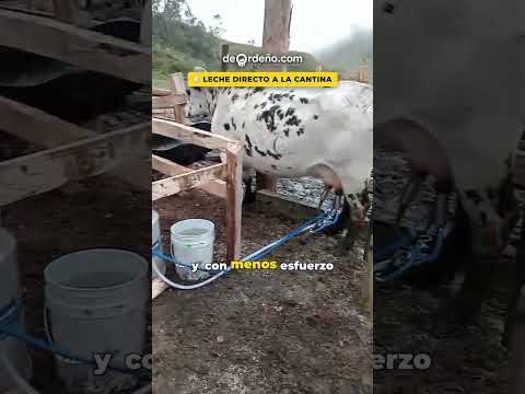 🐴 Llegó en mula y ya ordeña: Ecomilk Premium 2 puestos a gasolina en Anzoátegui | CONTRA ENTREGA