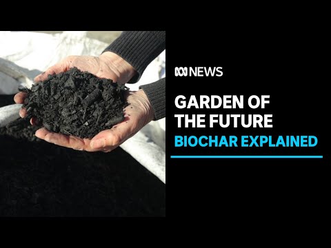 Turning green waste to black gold: new biochar trial | ABC News