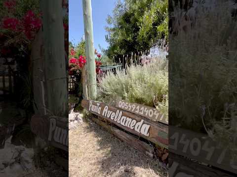 Punta Avellaneda 2 - Punta del Diablo, Rocha. Alquiler temporal #realestate #vacation #travel #house