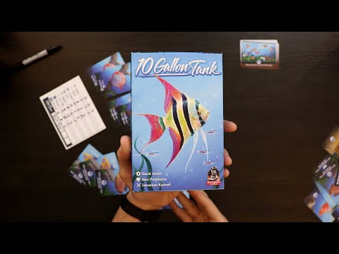 10 Gallon Tank: Brief Discussion, Set-up, and Gameplay