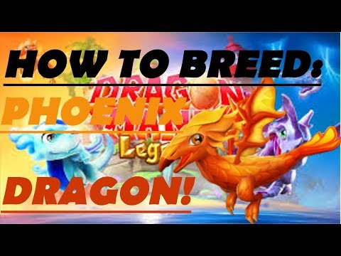 Dragon Mania Legends PC - How to breed the Phoenix Dragon!