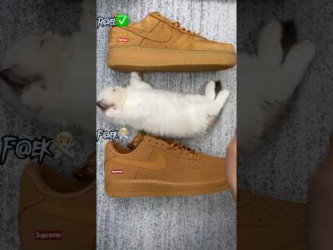 Real Vs Fake Brown Supreme Air Force 1 #sneakerhead #sneakers #viral
