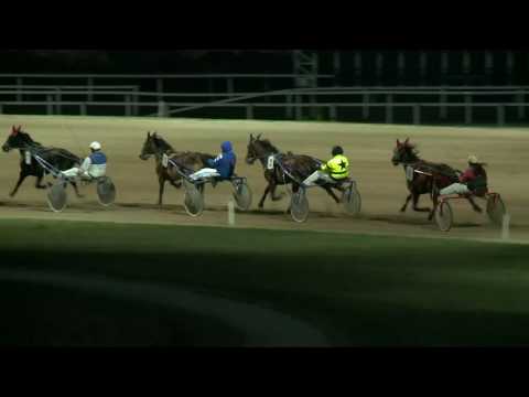 2017.03.25. 9. futam - ÚJ-MEXIKÓ HENDIKEP