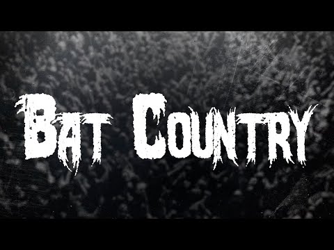 Avenged Sevenfold - Bat Country / Lyrics