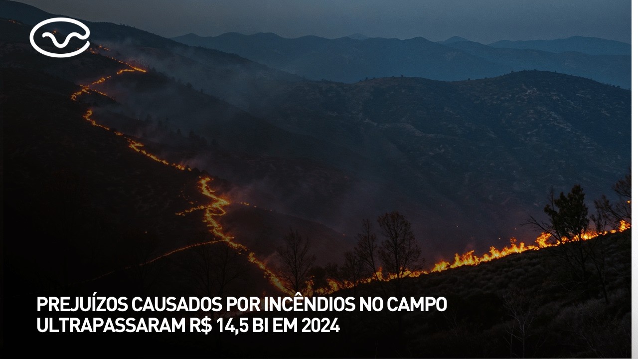 Prejuízos causados por incêndios no campo ultrapassaram R$ 14,5 bi em 2024