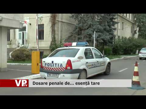 Dosare penale de… esență tare