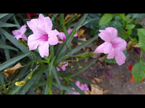 Naveen Navi || I love you