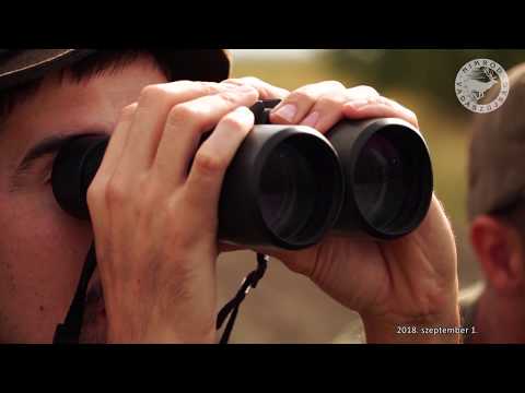 NIMRÓD Percek - A “KARCAGI ÖRDÖG” őzbak elejtése - 230. HAZAI VADÁSZ - 2018.09.01-i adás