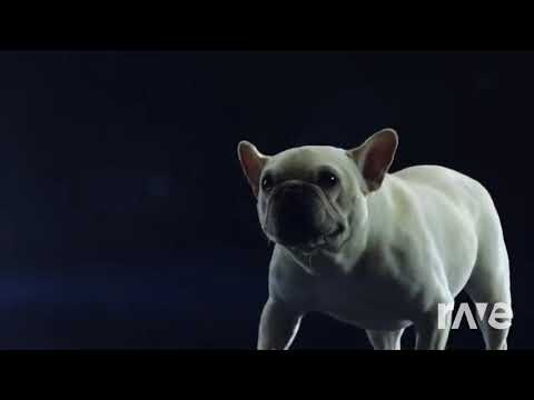 Marry The World - Swedish House Mafia & Lady Gaga