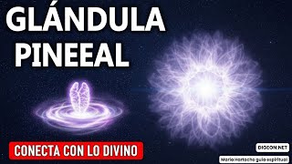 Conecta con lo Divino...🩵Arcángel Miguel💌MENSAJE DE LOS ÁNGELES PARA TI -DIGEON - Ens. VERTI