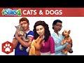 Video produktu The Sims 4: Psi a Kočky hra na PC