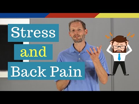 Stress and its relation to Back Pain