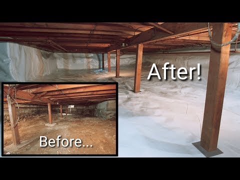 YouTube Image