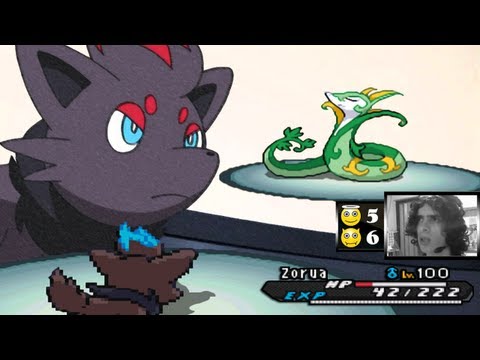 Pokemon Black 2 and White 2 WiFi Battle - #69 Zorua Prime Transform
