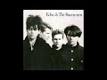 Echo & The Bunnymen - Satellite