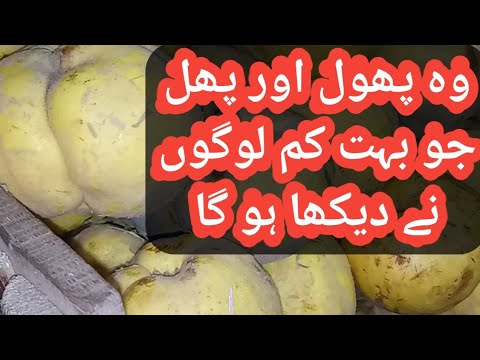 today click |organic fruit and flowers