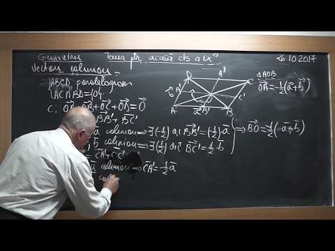 2/3 Lectia 1601 Clasa 9 - Vectori coliniari Descompunerea unui vector dupa 2 vectori dati Probleme