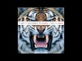 Thirty Seconds To Mars - L490